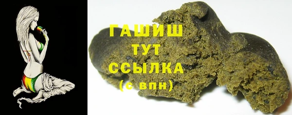 spice Богородицк