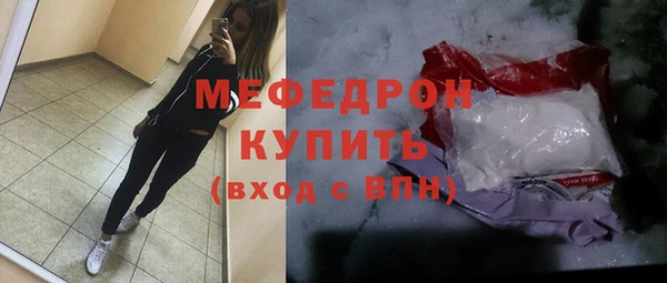 spice Богородицк