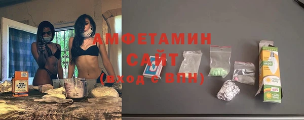 spice Богородицк