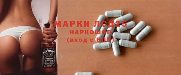 spice Богородицк