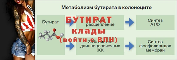 ECSTASY Богданович