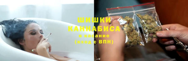 ECSTASY Богданович