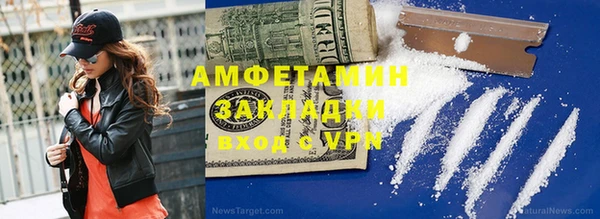 ECSTASY Богданович