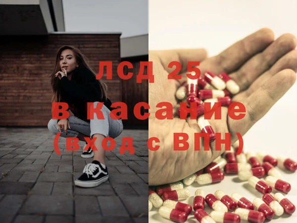 spice Богородицк