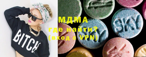 spice Богородицк