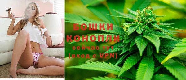 ECSTASY Богданович