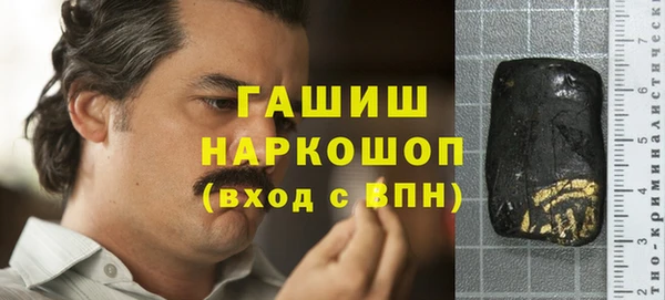 spice Богородицк