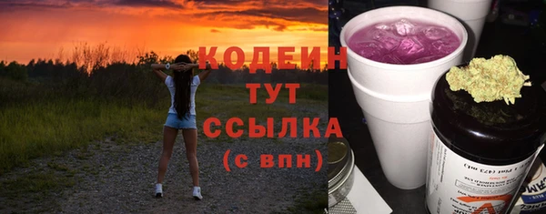 spice Богородицк