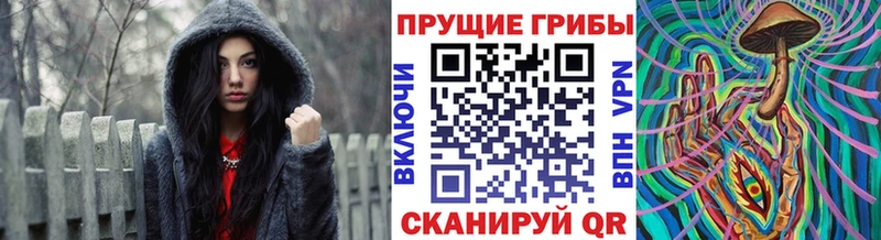 Псилоцибиновые грибы прущие грибы  mega ONION  Бузулук 